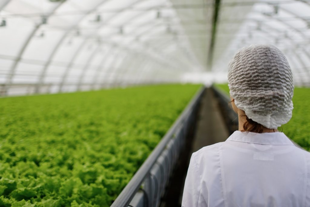 Biotechnology woman engineer with a clipboard and pen examining plant leaf for disease